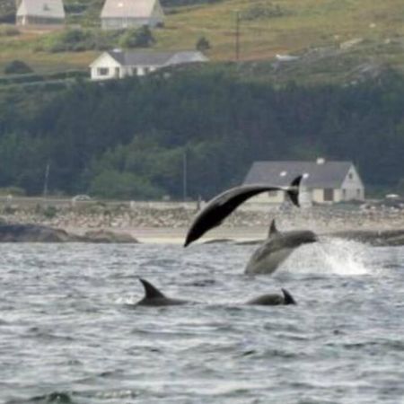 The Chalet Town Centre Dungloe Luaran gambar
