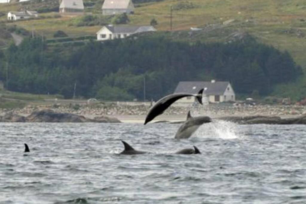 The Chalet Town Centre Dungloe Luaran gambar
